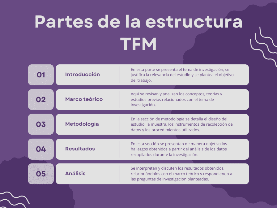 estructura TFM