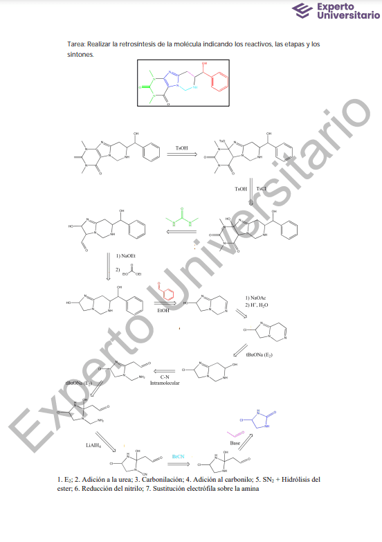 Ejemplo de TFM en Enfermería dermocosmética